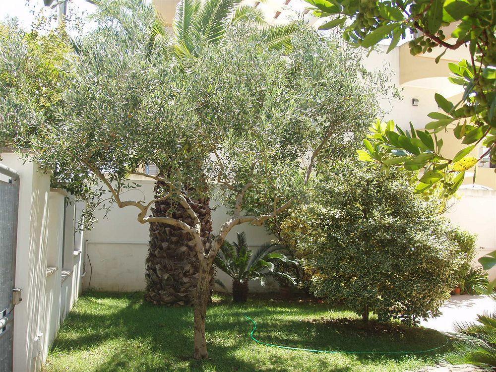 Residenza Del Sole Bed & Breakfast Surbo Eksteriør bilde